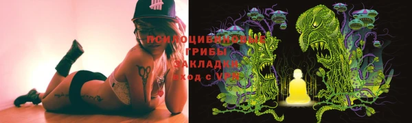 apvp Магадан