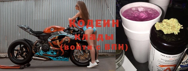 шишки Мегион